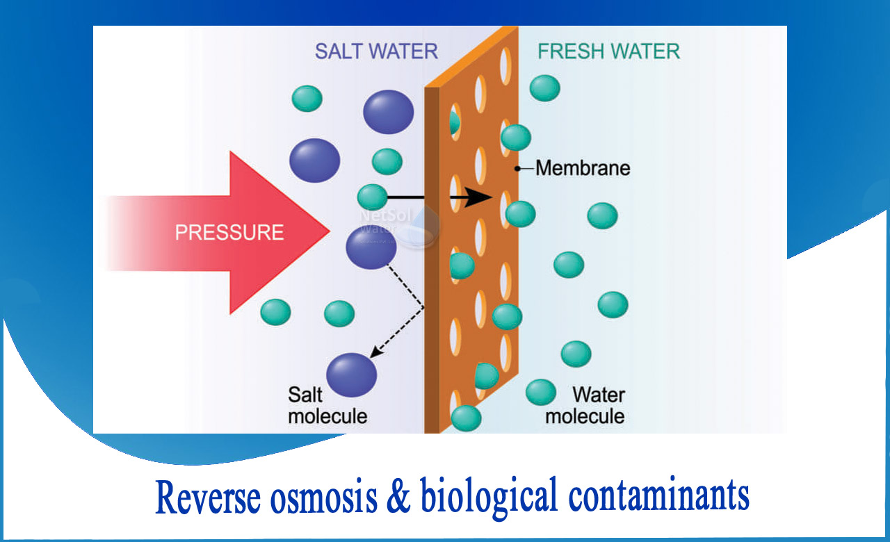 what is reverse osmosis water, reverse osmosis water bad for kidneys, reverse osmosis membrane